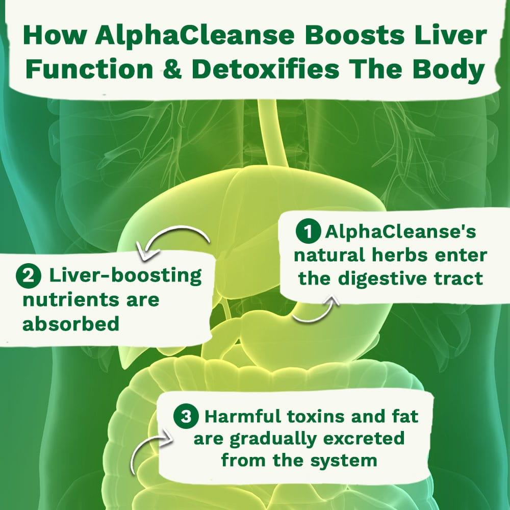 Alpha Cleanse